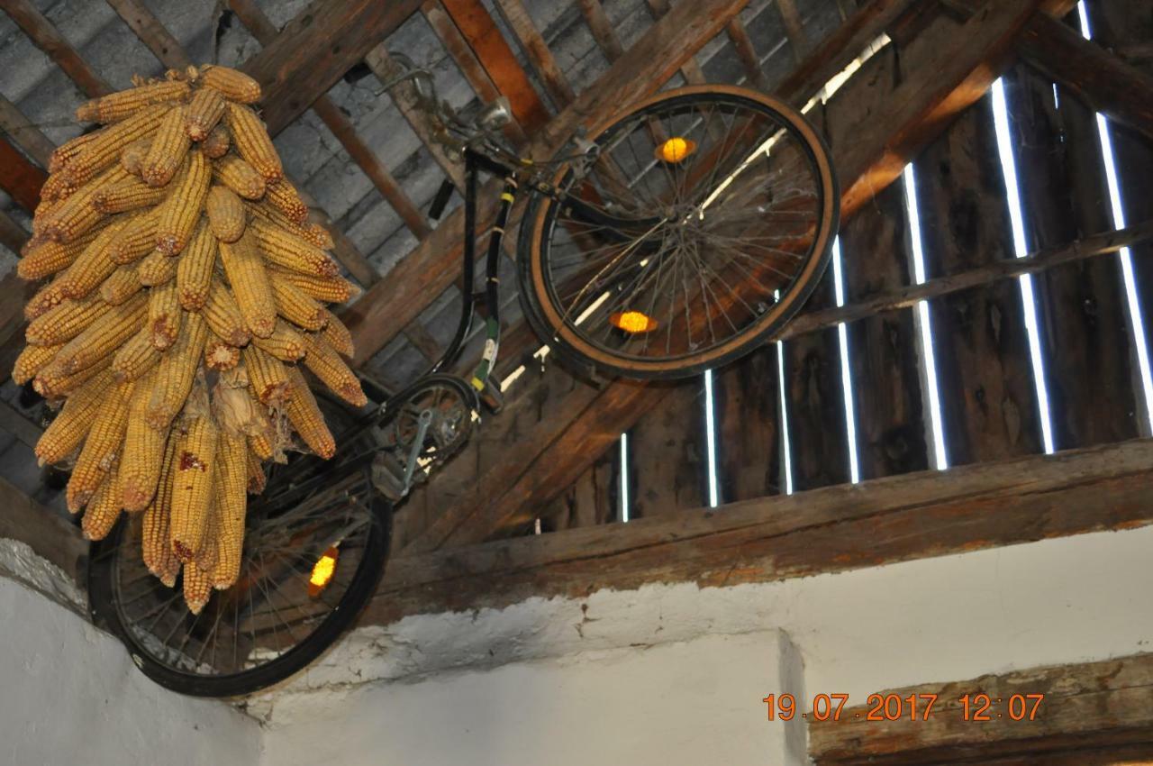 Appartmenthaus Josefikeller Podersdorf am See Exteriör bild
